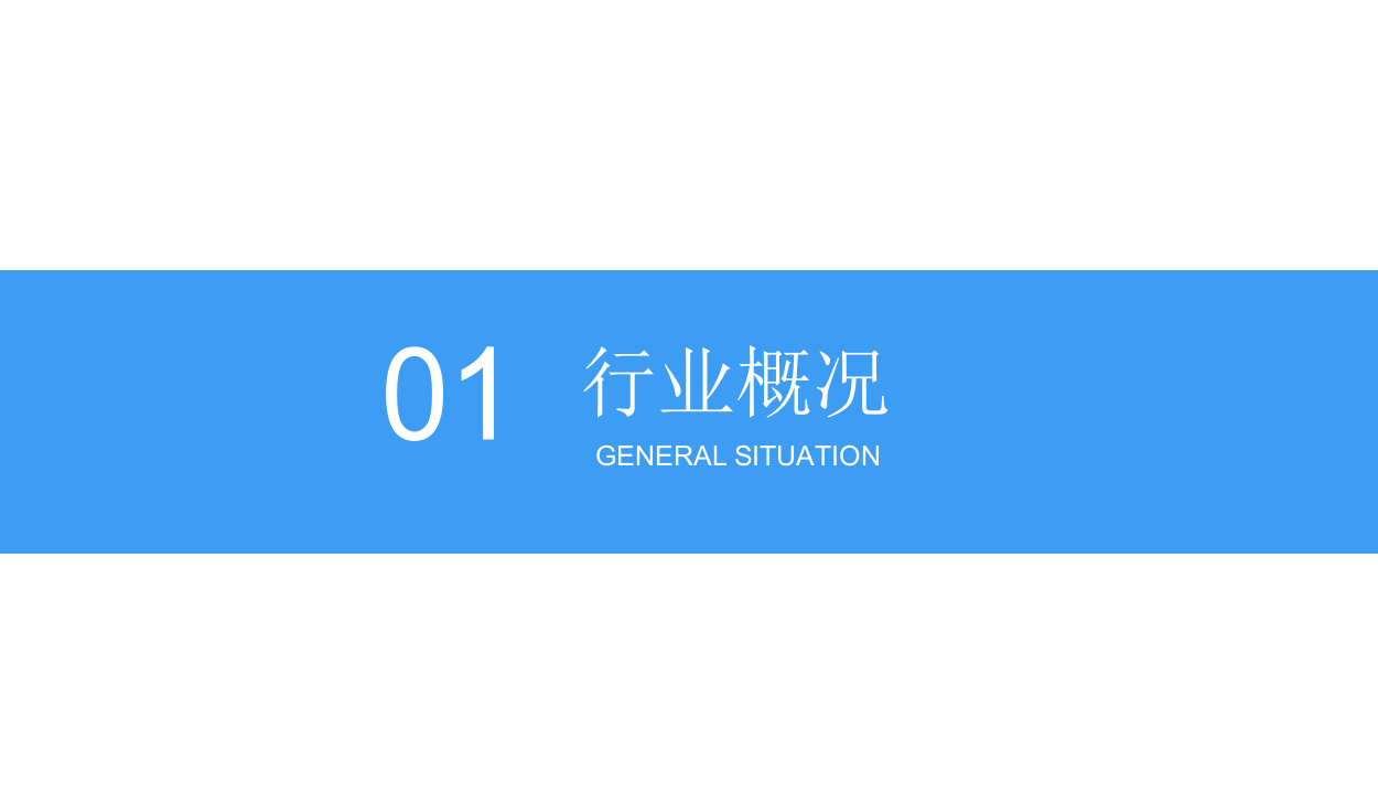 2018中国计算机视觉行业前景研究报告.docx 第4页