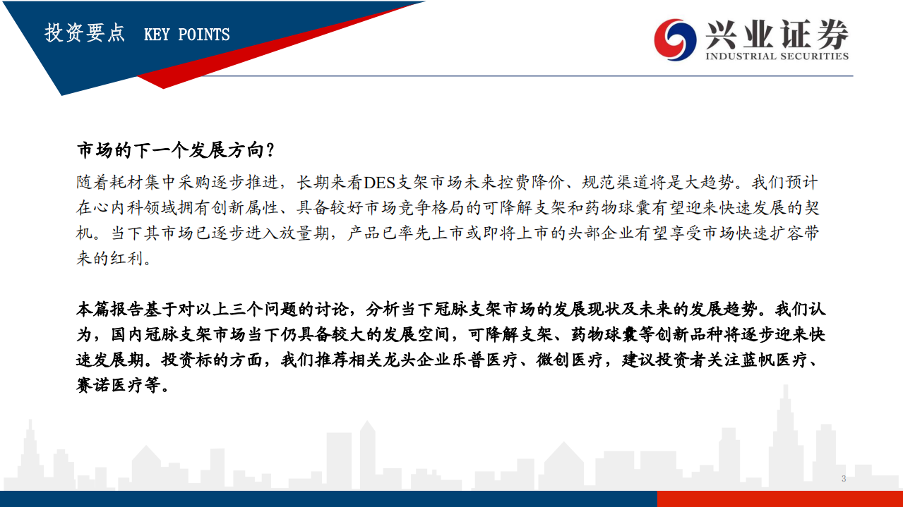 医疗器械行业：红海泛舟，冠脉支架迭代中持续成长的市场-20200721.pdf 第3页