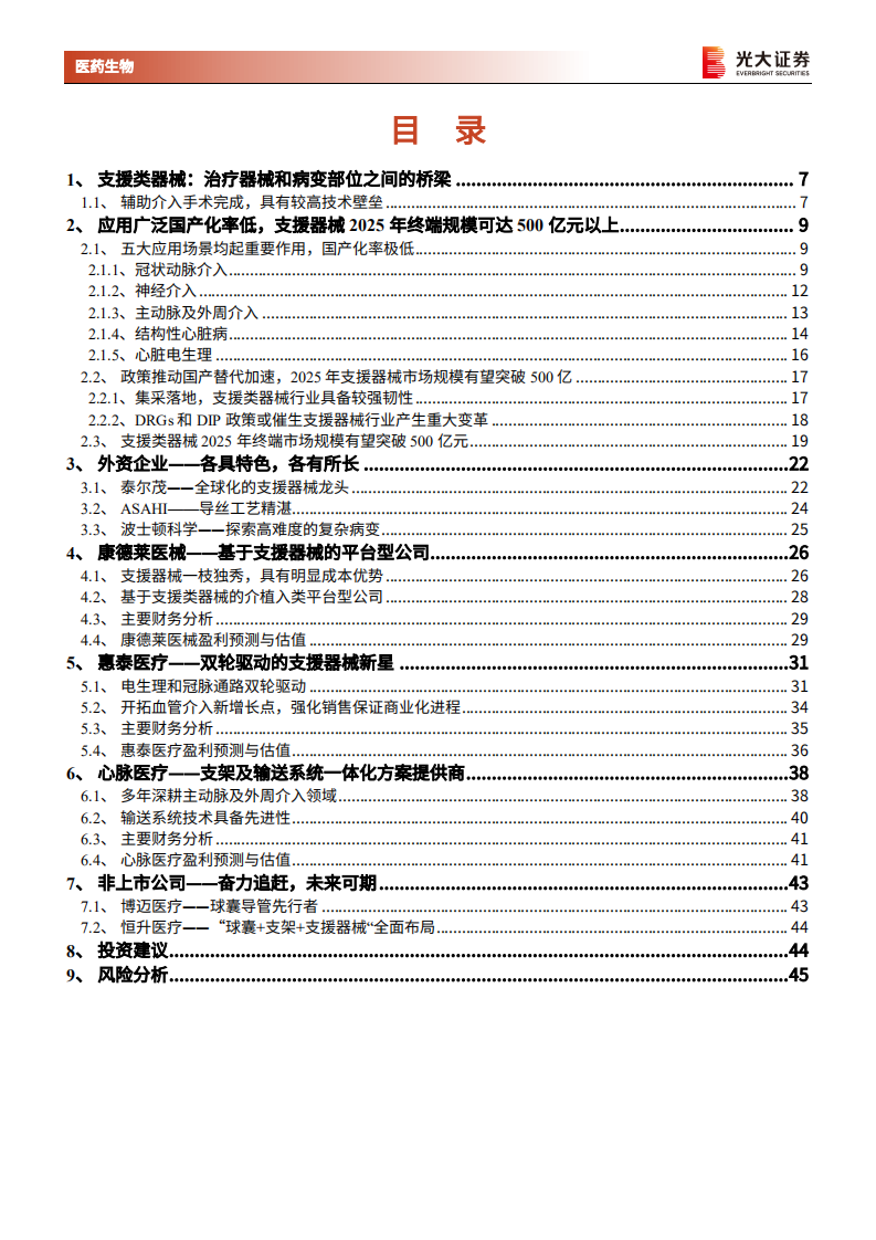 援类器械行业研究：支援类器械，横跨介入医疗所有赛道，国产替代正当时-210210.pdf 第3页