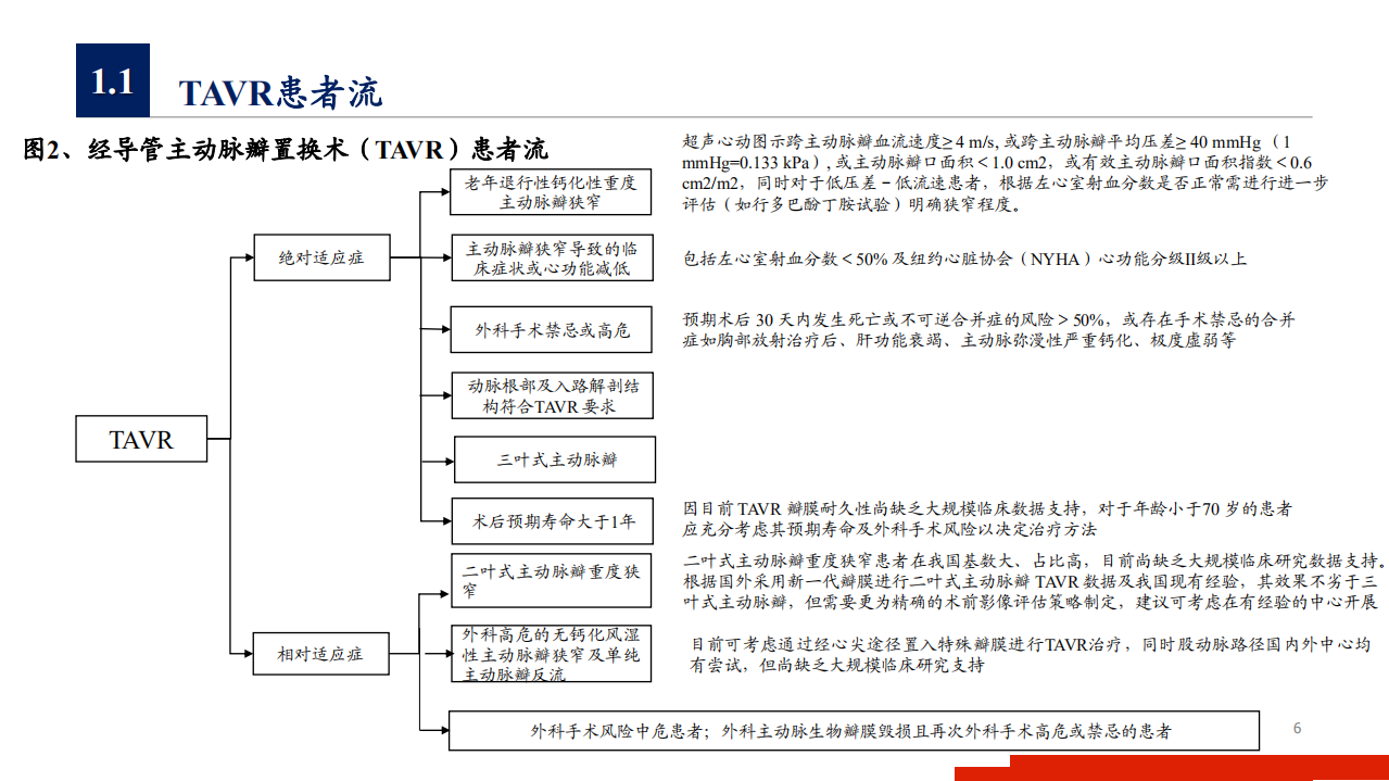 2020年医疗行业心脏瓣膜市场现状及未来发展空间分析研究报告.pdf 第5页