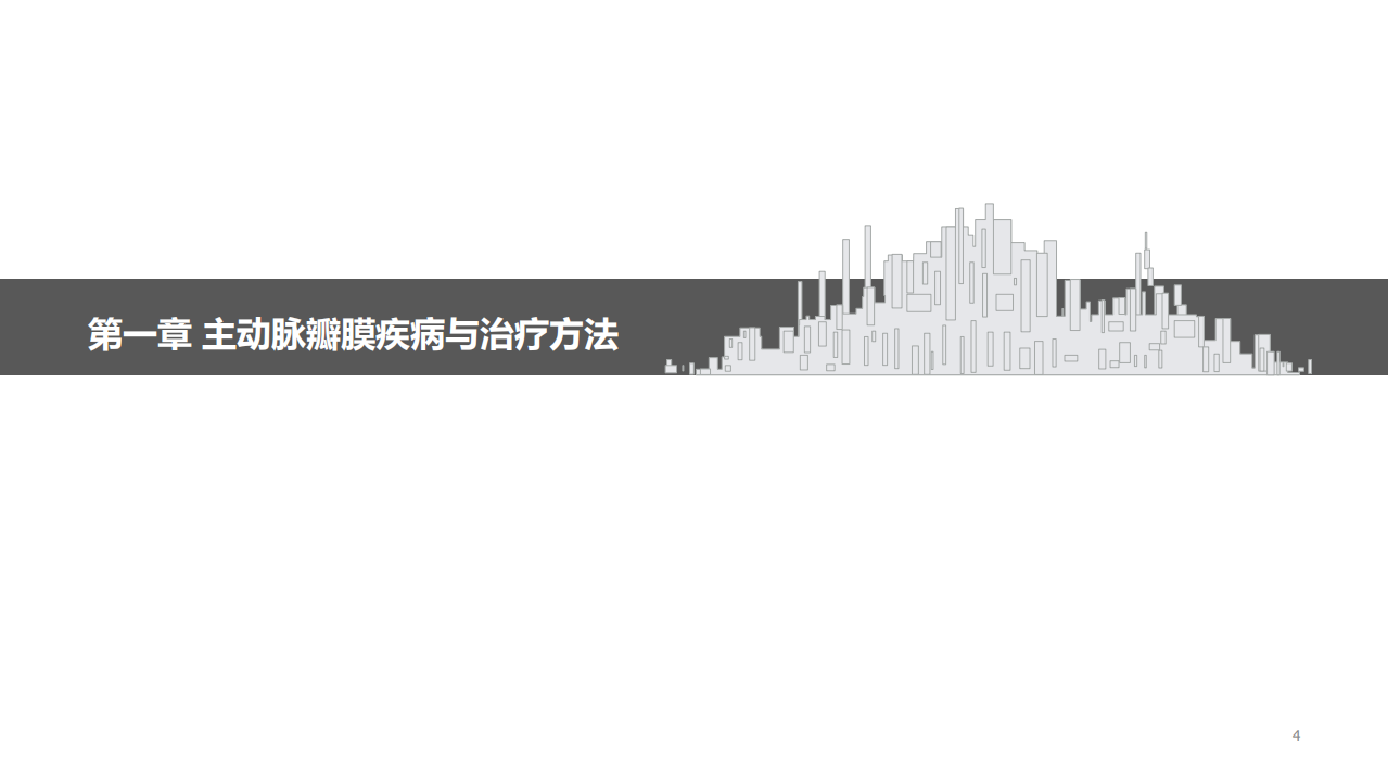 2020年医疗行业心脏瓣膜市场现状及未来发展空间分析研究报告.pdf 第3页