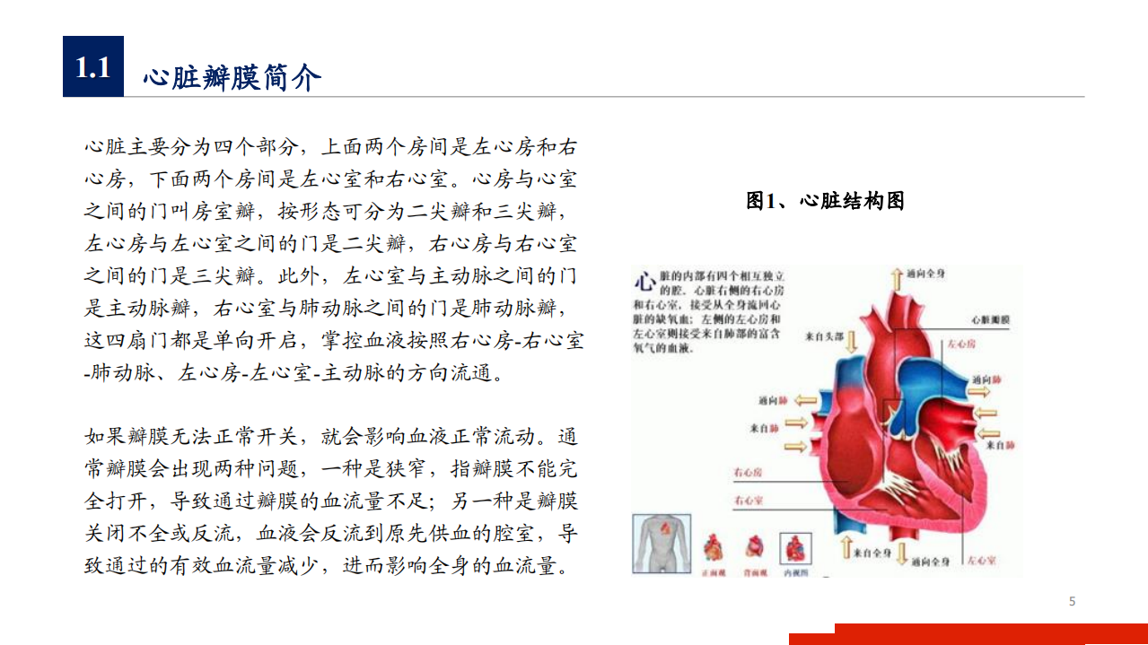 2020年医疗行业心脏瓣膜市场现状及未来发展空间分析研究报告.pdf 第4页