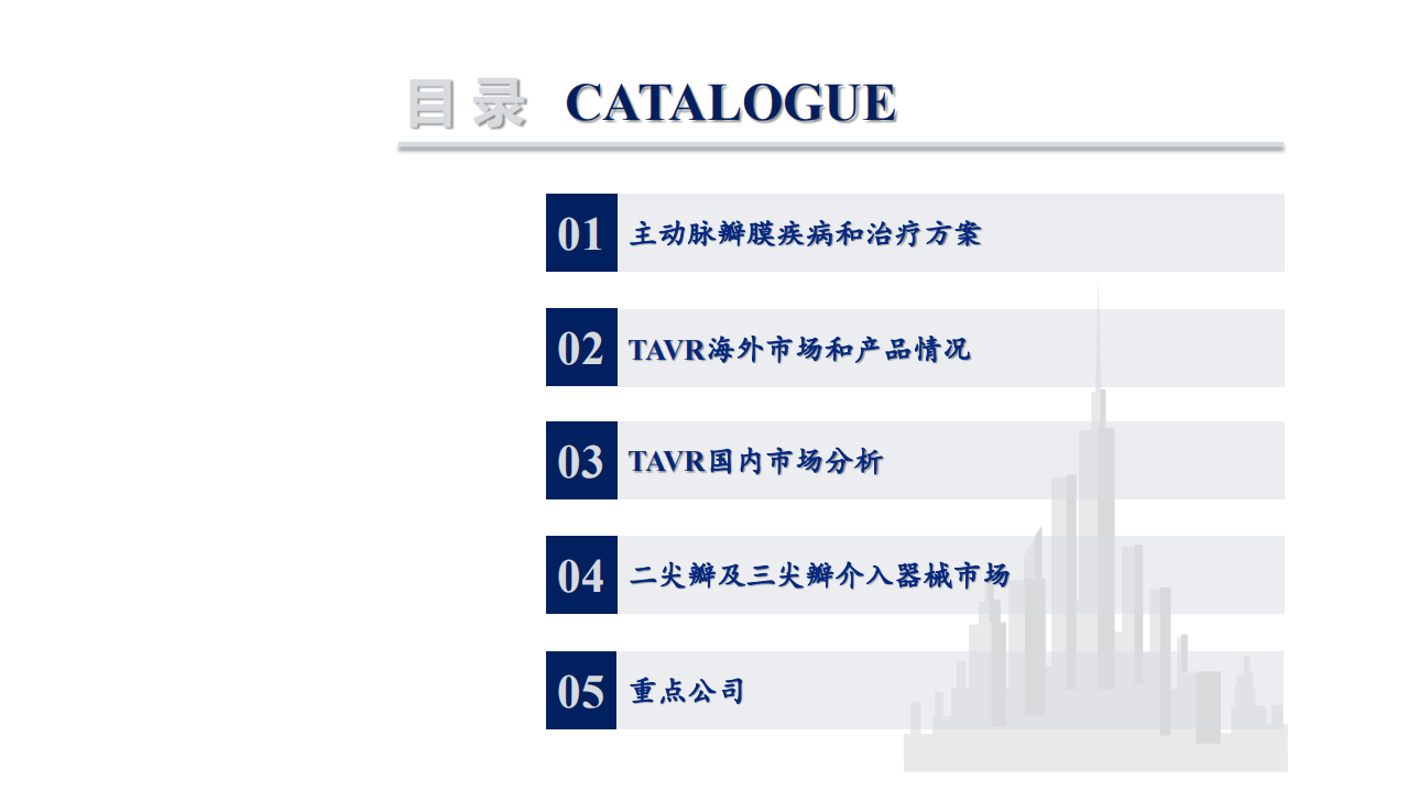 2020年医疗行业心脏瓣膜市场现状及未来发展空间分析研究报告.pdf 第2页