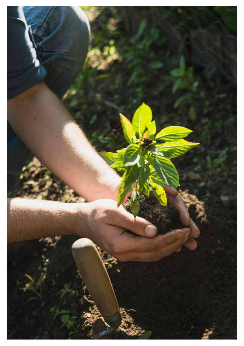 德勤-健康医疗行业的变革：从&ldquo;规模&rdquo;到&ldquo;价值&rdquo;-191212.pdf 第4页