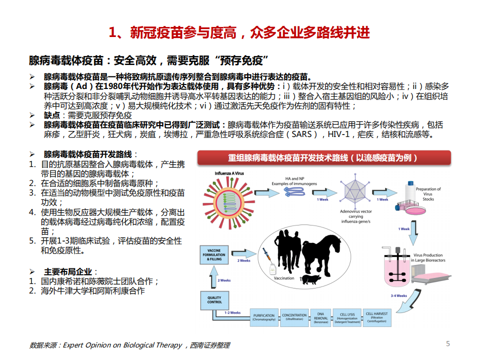 2020年新冠疫苗行业专题：新冠疫苗和中和抗体有望成为本次疫情防控的核心主力-20200731.pdf 第6页
