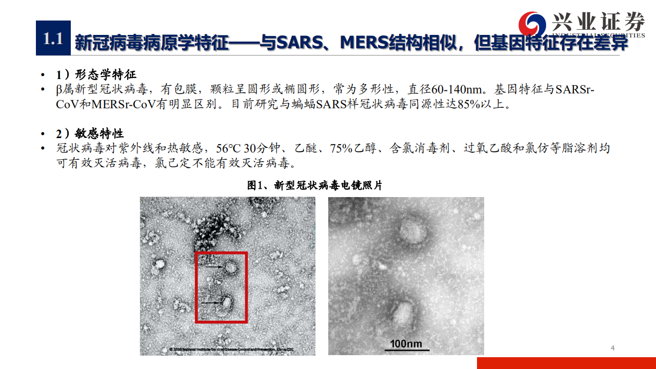 医药生物行业抗击新冠疫情系列报告之三：新冠疫苗研发概览-200506.pdf 第4页