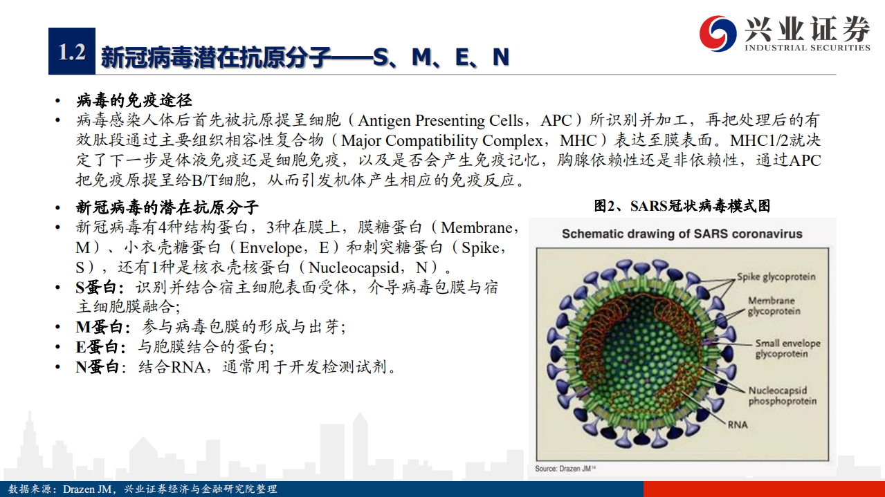 医药生物行业抗击新冠疫情系列报告之三：新冠疫苗研发概览-200506.pdf 第5页