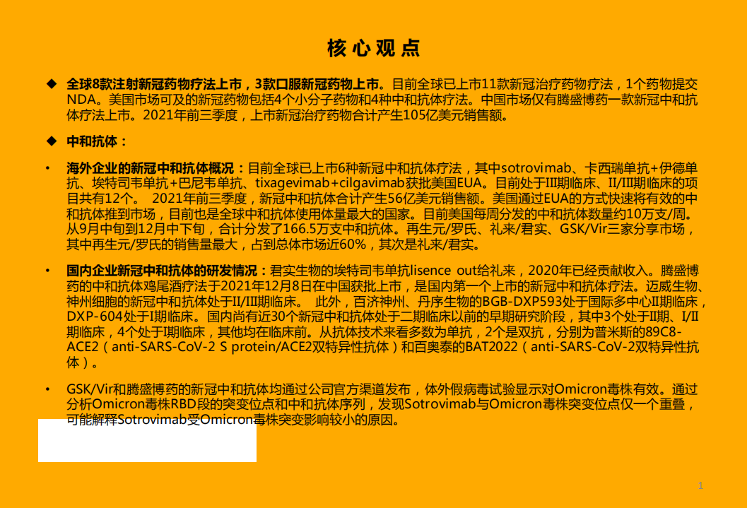 医药行业：新冠疫苗、中和抗体、小分子口服药是抗疫有效组合-220117.pdf 第2页