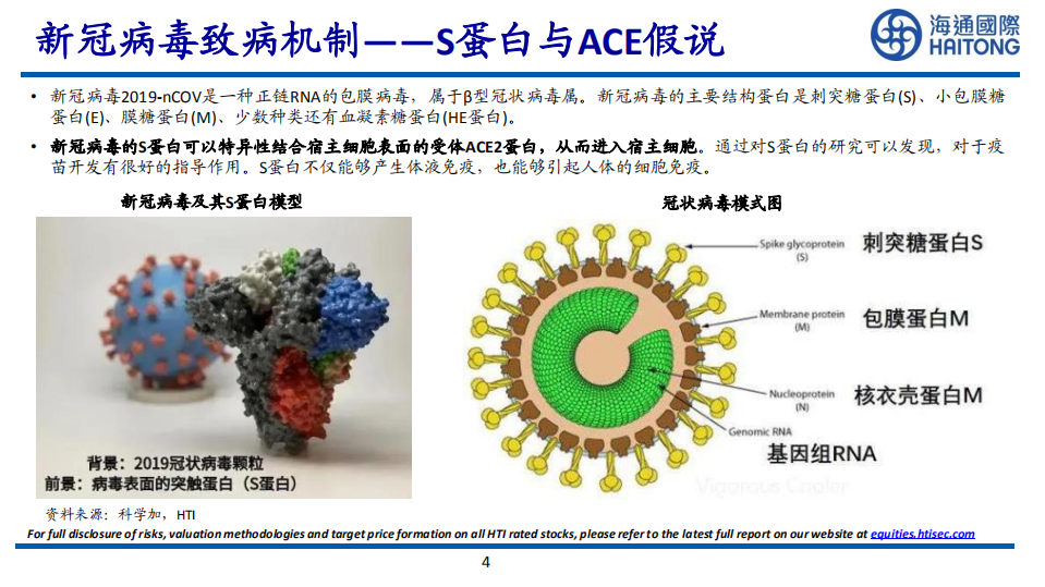 医药行业：新冠疫苗研发技术及进展-200415.pdf 第4页