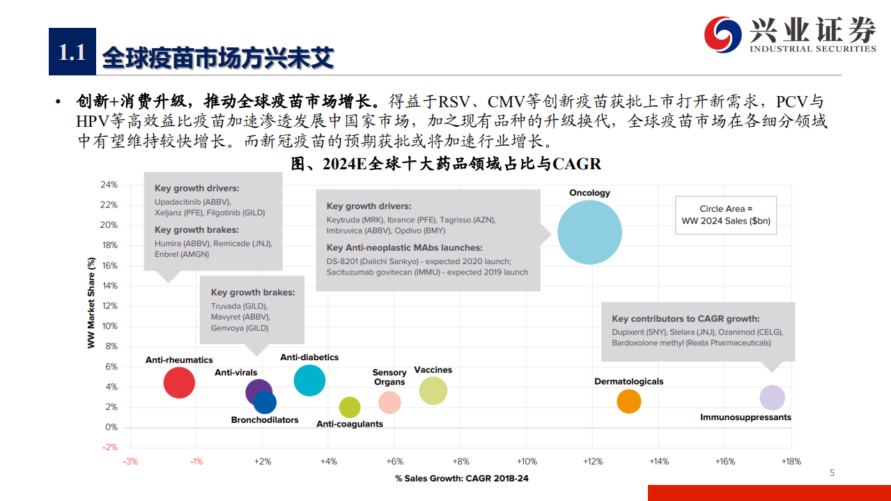 中国疫苗行业纵观（一）：脚踏实地，仰望星空-20200819.pdf 第5页