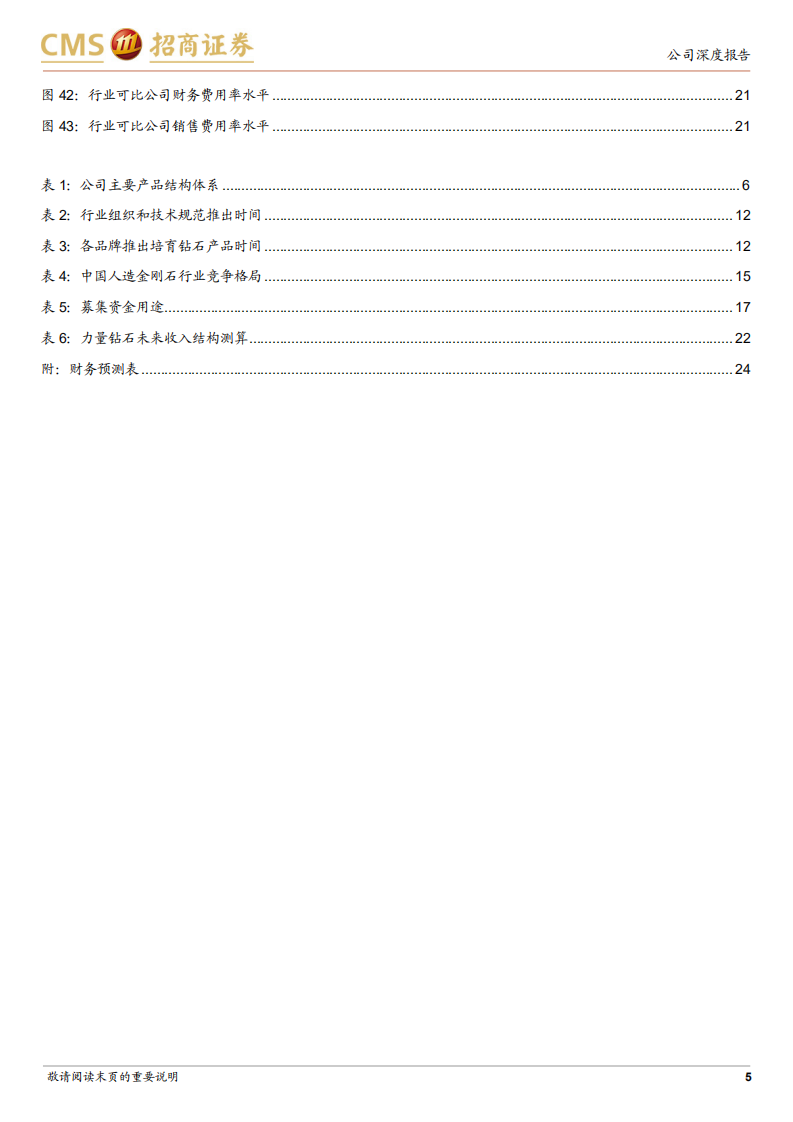 力量钻石-人造金刚石行业后起之秀，高成长高弹性-211129.pdf 第5页
