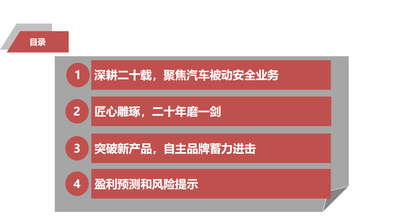 松原股份-优质赛道潜力之星，深度受益自主崛起-211122.pdf 第2页
