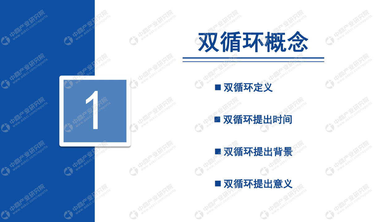 中商文库：双循环专题&mdash;&mdash;2021年中国体外诊断行业市场前景及投资研究报告.pdf 第5页