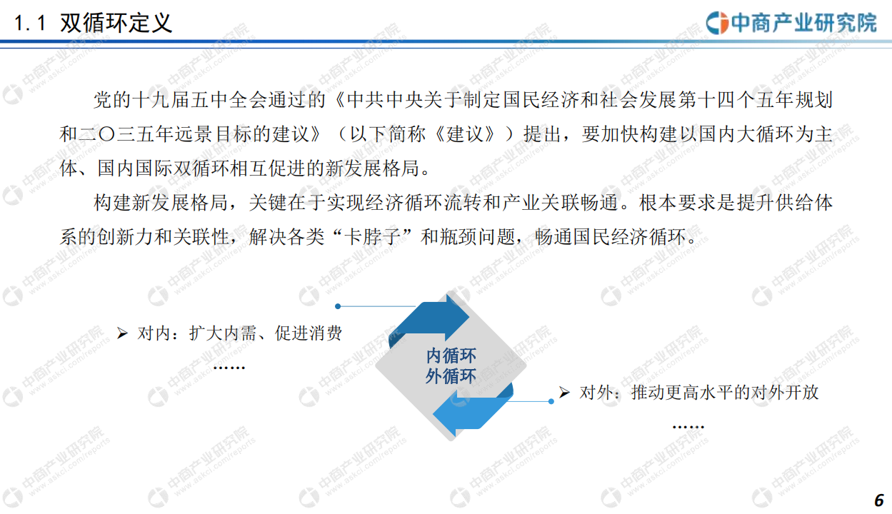 中商文库：双循环专题&mdash;&mdash;2021年中国体外诊断行业市场前景及投资研究报告.pdf 第6页