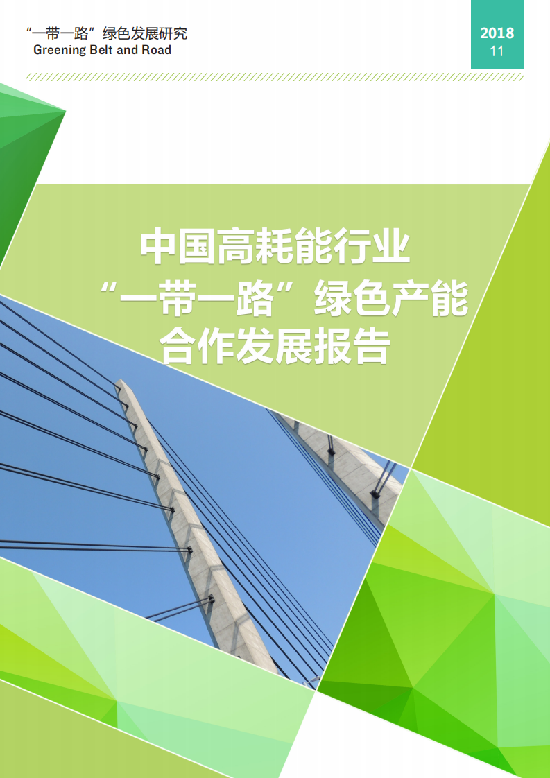 自然资源保护协会：中国高耗能行业&ldquo;一带一路&rdquo;绿色产能合作发展报告.pdf 第1页