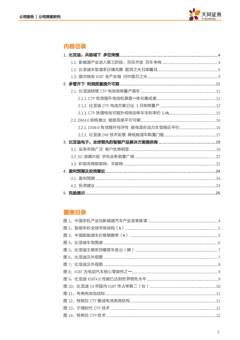 比亚迪-多管齐下，多位突围-200120.pdf 第2页