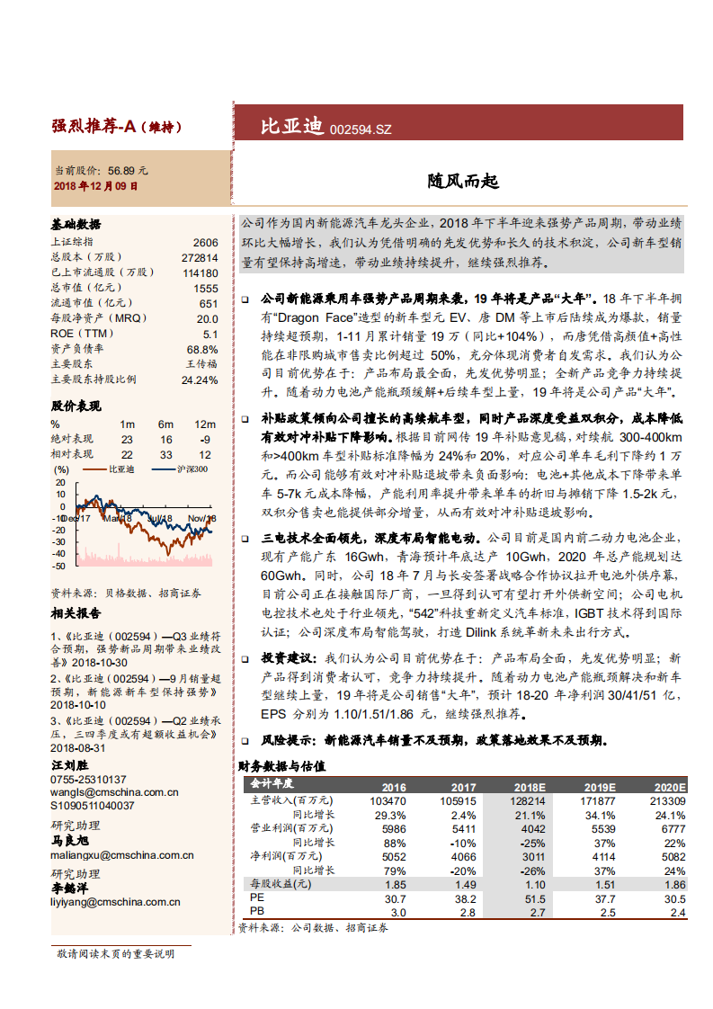 比亚迪-随风而起-181209.pdf 第1页