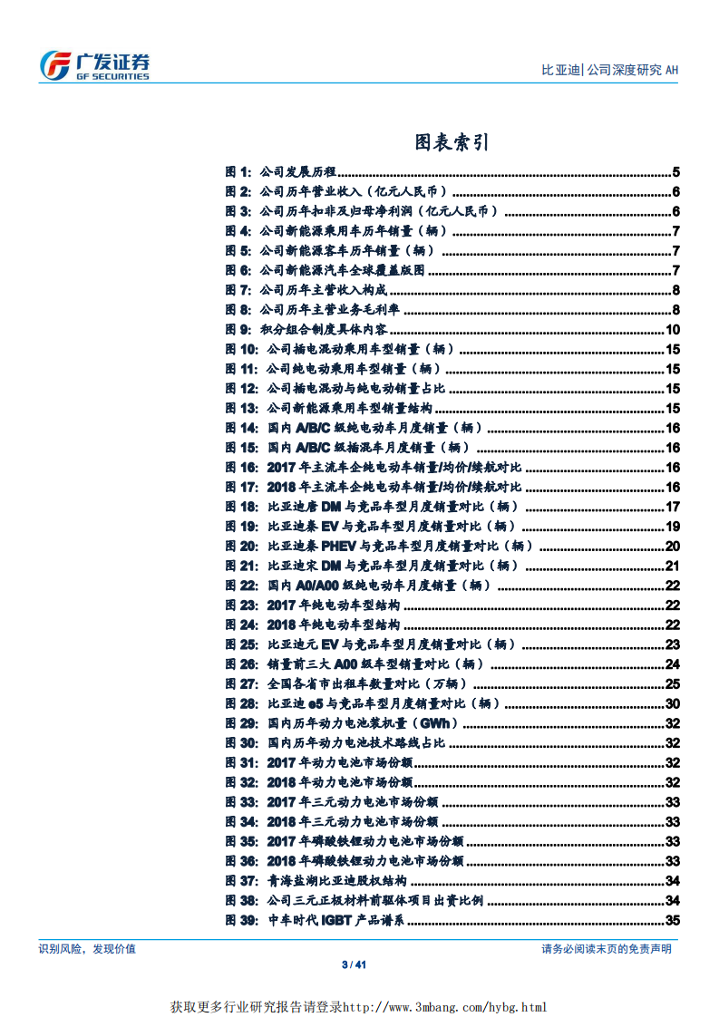 比亚迪-引领电动化，全球新品牌-190425.pdf 第3页