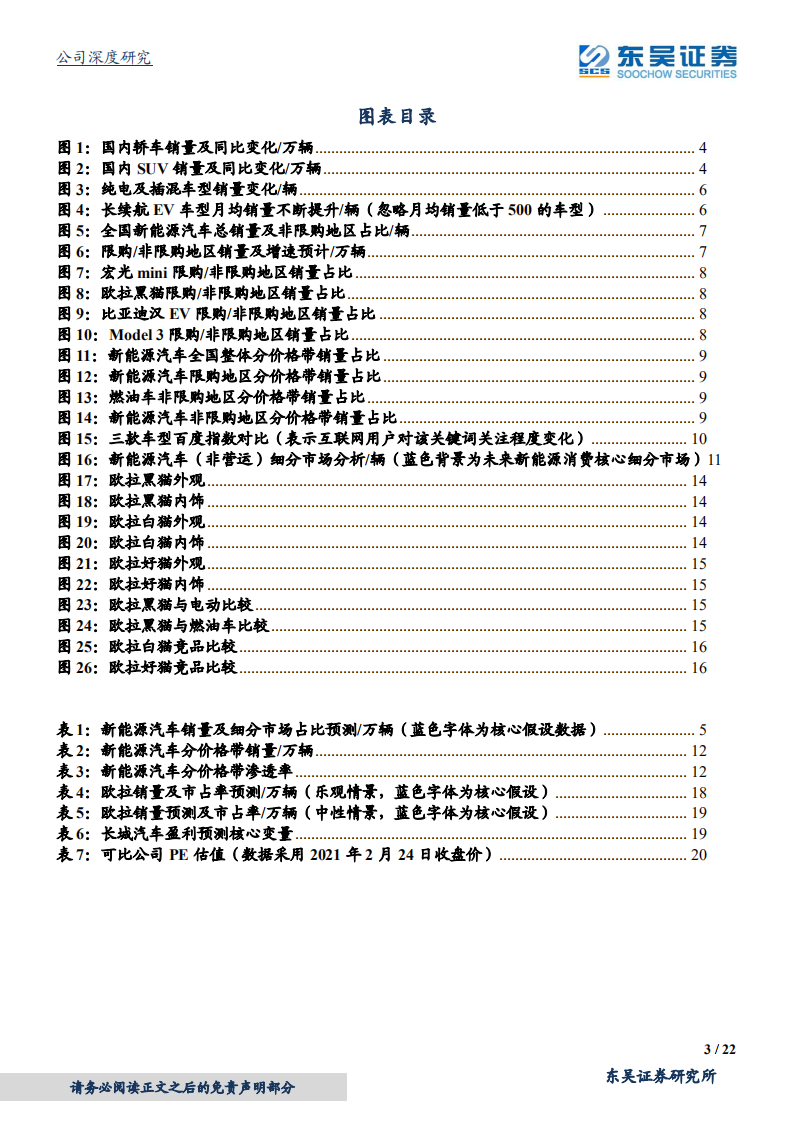 长城汽车-看好欧拉品牌崛起-210225.pdf 第3页