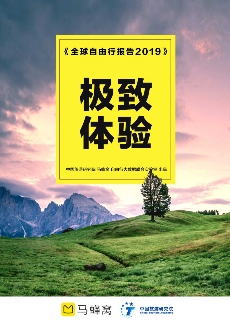 马蜂窝&中国旅游研究院：《全球自由行报告2019》：极致体验.pdf 第1页