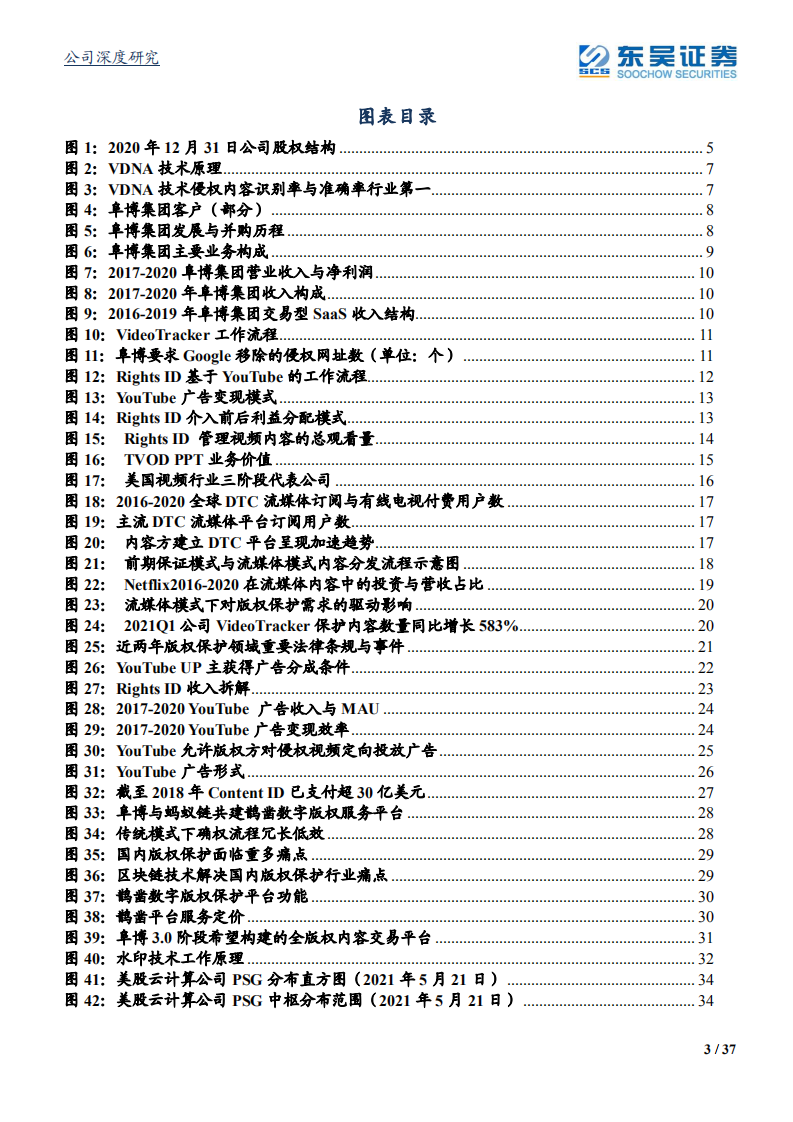 阜博集团-行业趋势与技术应用共振，版权保护SaaS龙头加速成长.pdf 第3页