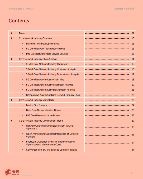 震有科技2021年震有科技企业报告：5G与卫星通信双向布局，未来可期-210430.pdf 第5页
