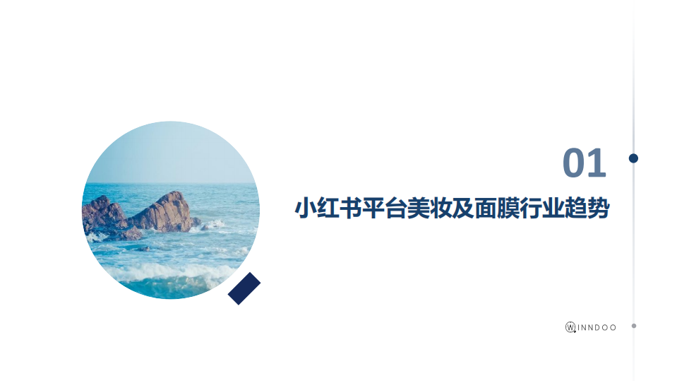 闻道网络-2020小红书面膜市场洞察-210329.pdf 第4页