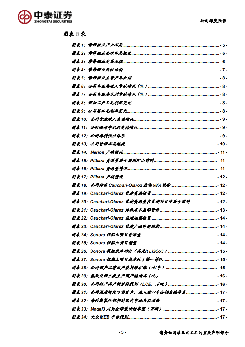 赣锋锂业-垂直一体化布局的氢氧化锂龙头-200520.pdf 第3页