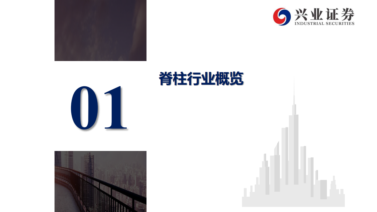 三友医疗-创新驱动，国内脊柱植入耗材新锐-20200714.pdf 第5页