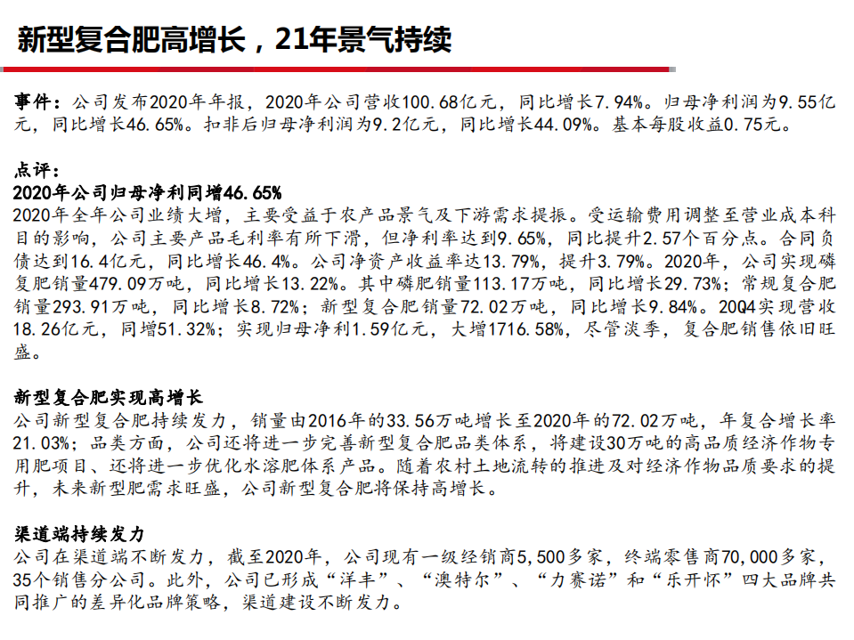 新洋丰-新型复合肥高增长，21年景气持续-210407.pdf 第2页