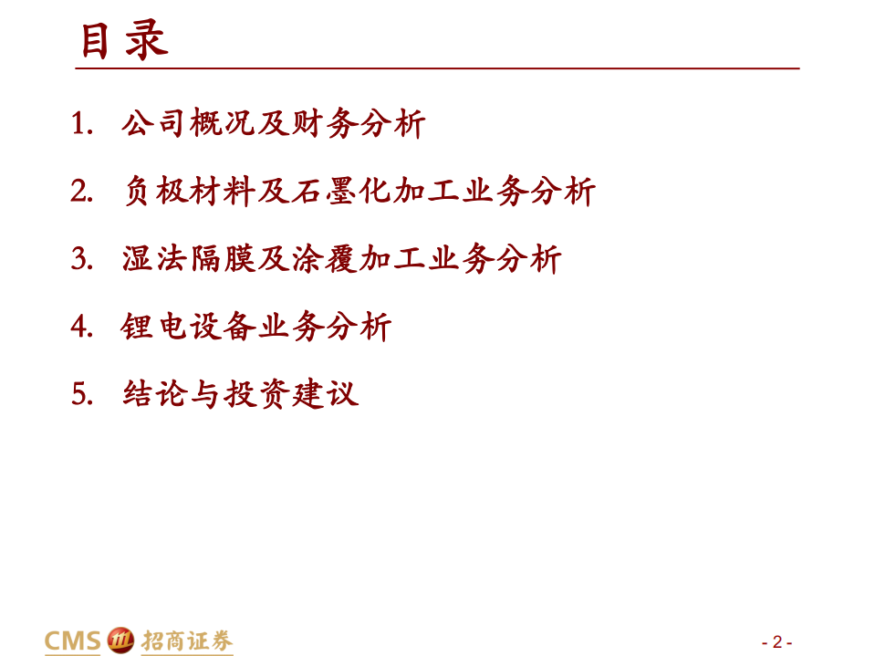 璞泰来-投资价值分析-210521.pdf 第2页