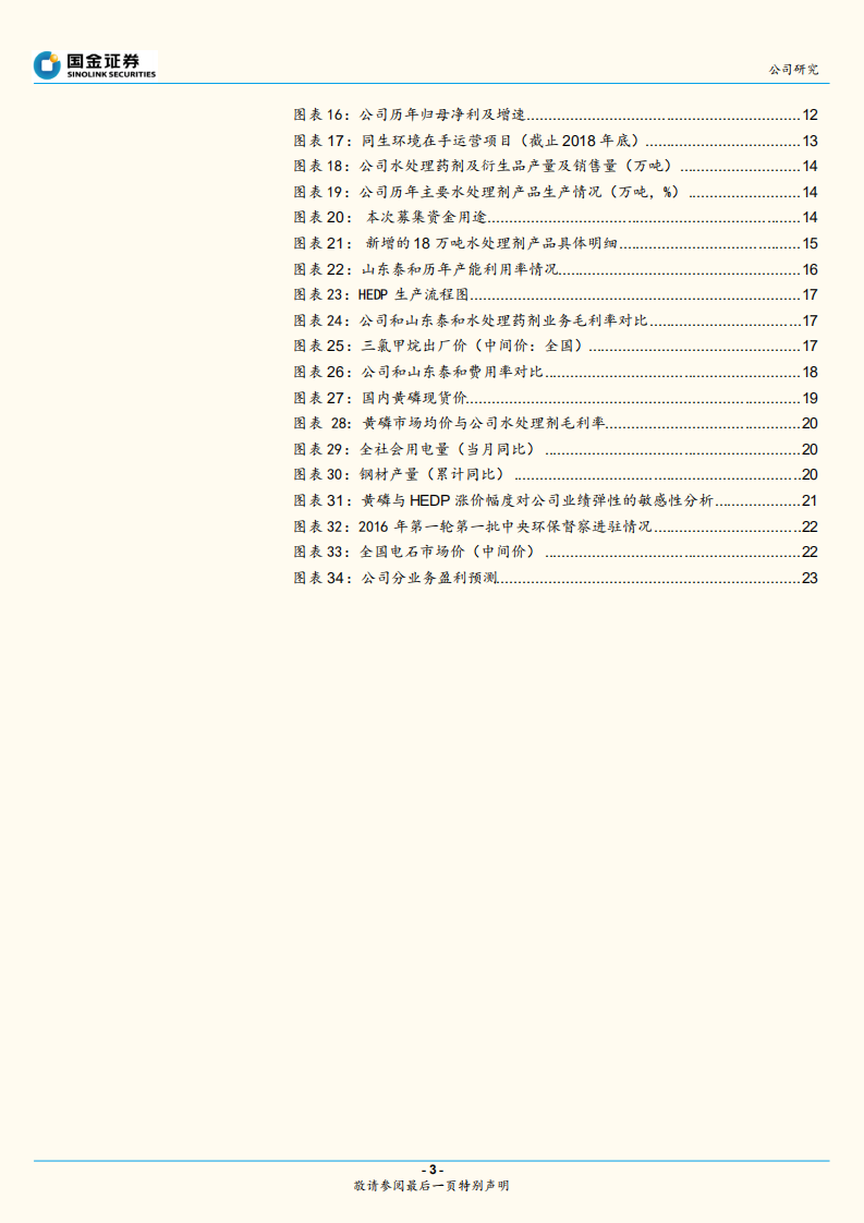 清水源-黄磷限产带动产品价格上涨，水处理药剂龙头呼之欲出-190721.pdf 第3页