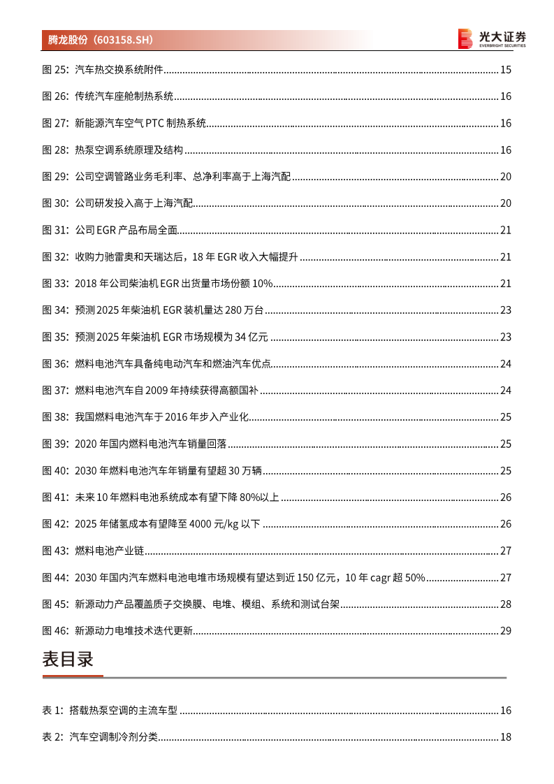 腾龙股份-投资价值分析报告：空管龙头出海欧洲，布局氢能再扩边界-210201    v.pdf 第5页