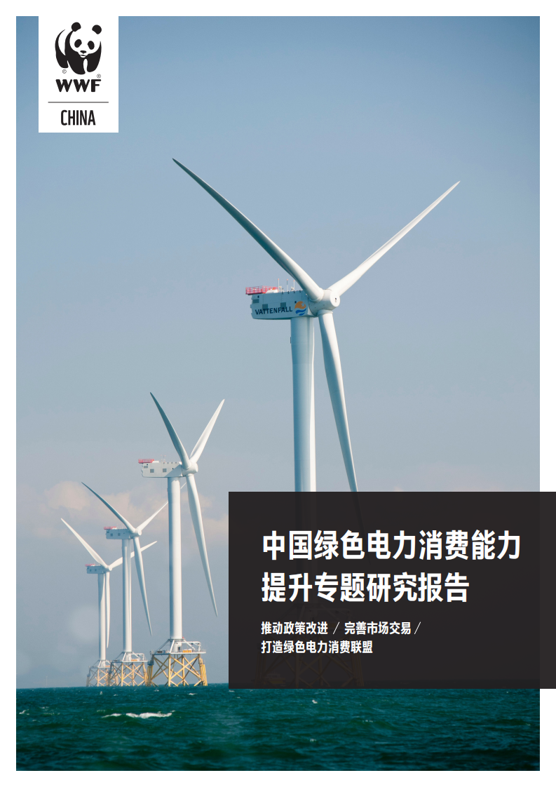 WWF：中国绿色电力消费能力提升专题研究报告.pdf 第1页