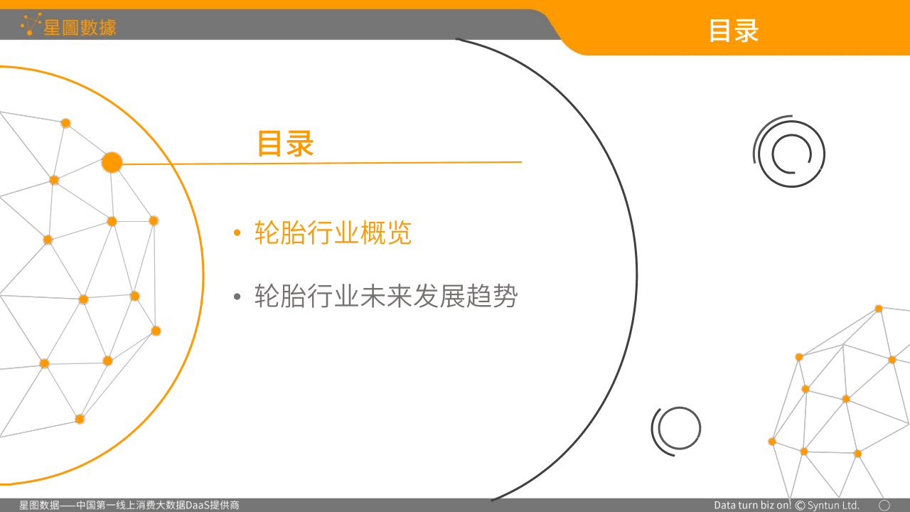 2018年Q1中国轮胎B2C电商市场分析报告.docx 第5页