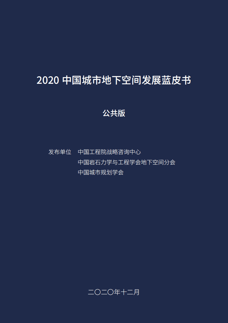 中国城市规划学会：2020中国城市地下空间发展蓝皮书（公共版）.pdf 第1页