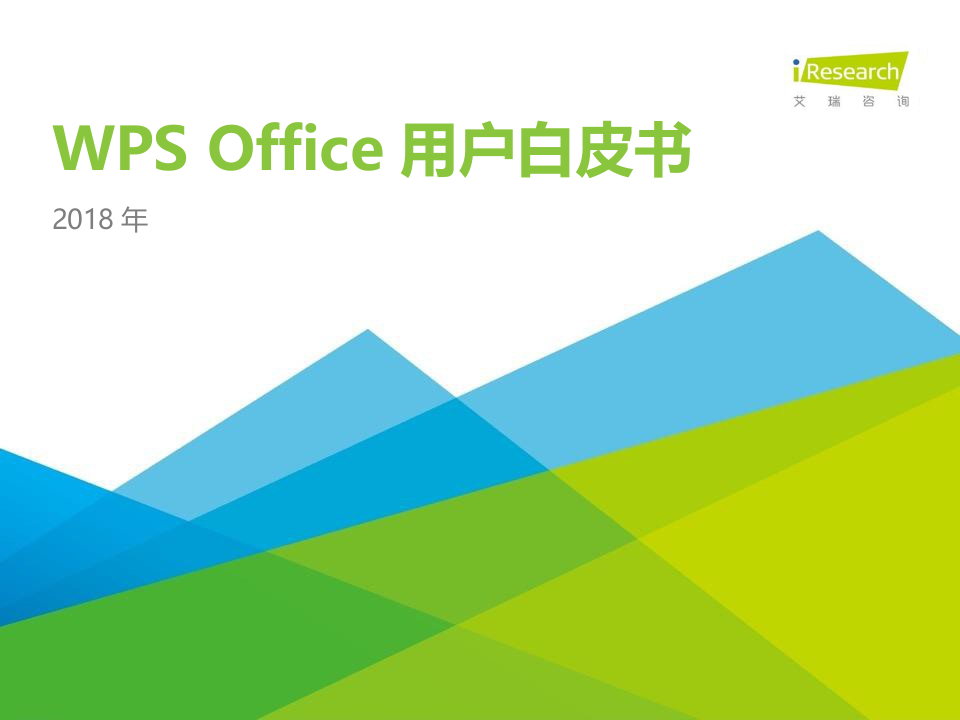 2018年WPSOffice用户白皮书.docx 第1页
