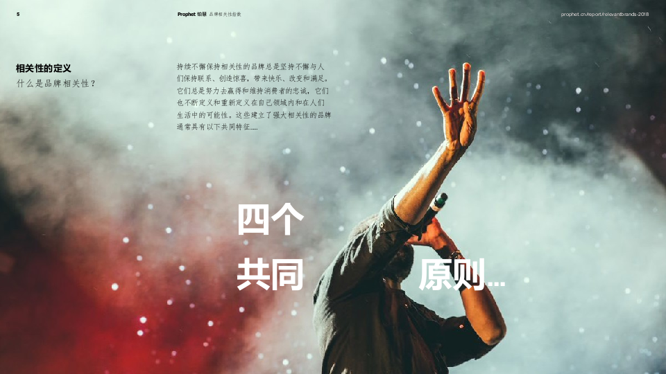 2018品牌相关性指数报告(1).docx 第5页