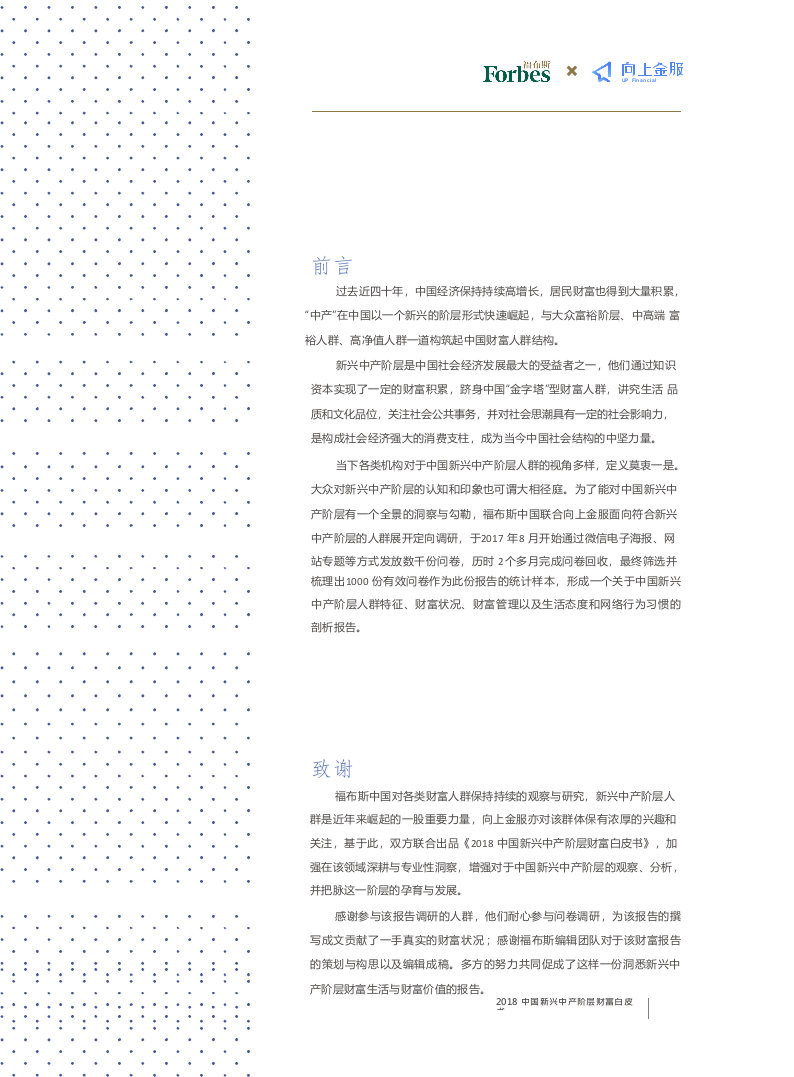 2018中国新兴中产阶层财富白皮书.docx 第3页