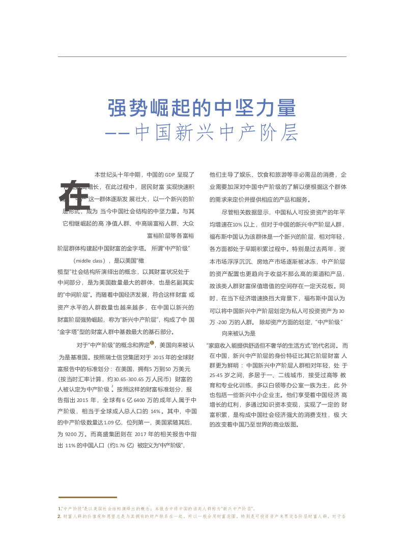 2018中国新兴中产阶层财富白皮书(1).docx 第6页