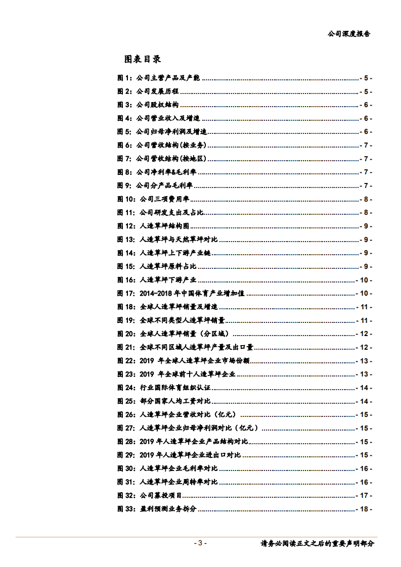 2020年共创草坪企业龙头地位明显，人造草坪空间巨大深度研究报告.pdf 第2页