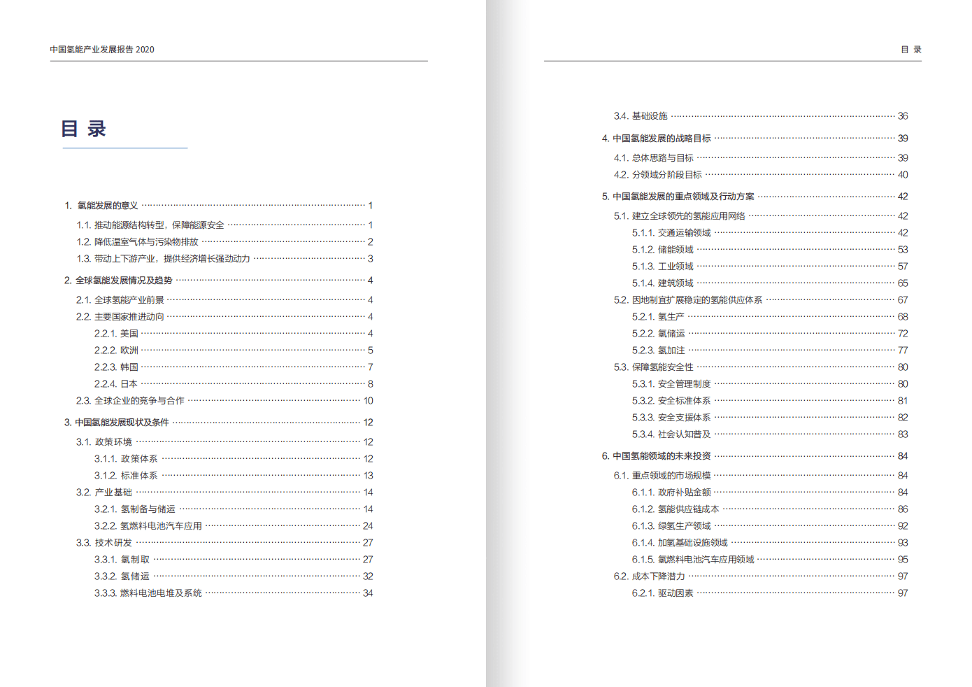 ChinaEV100：2020中国氢能产业发展报告.pdf 第5页