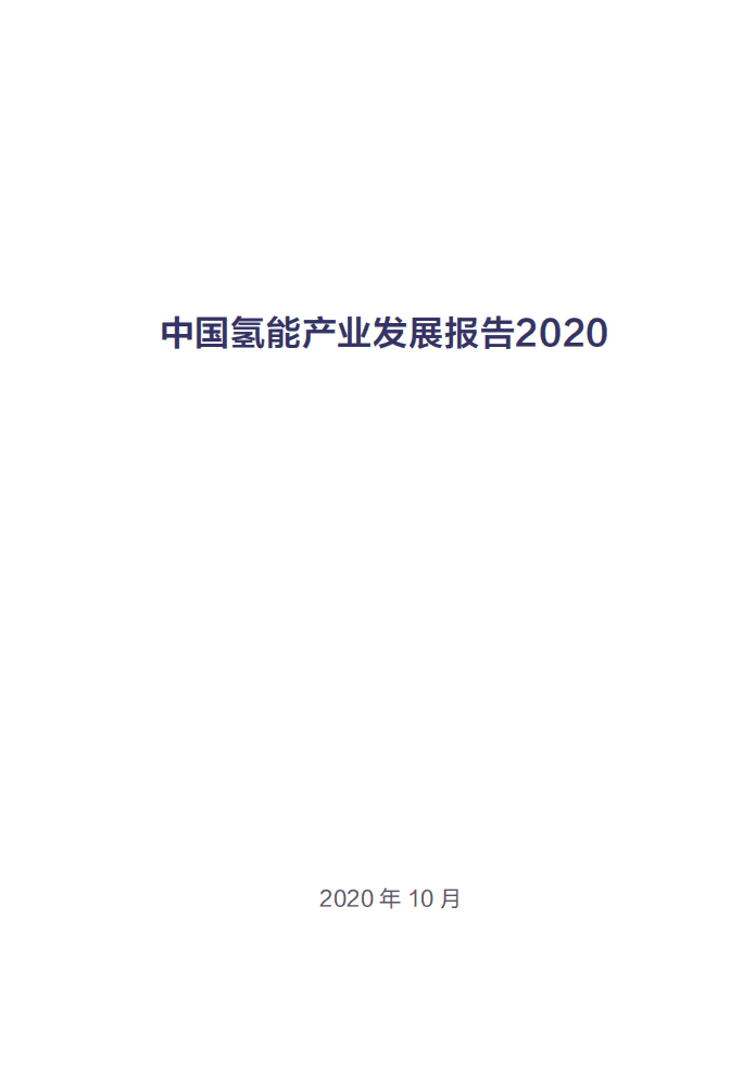 中国电动汽车百人会：中国氢能产业发展报告2020.pdf 第2页