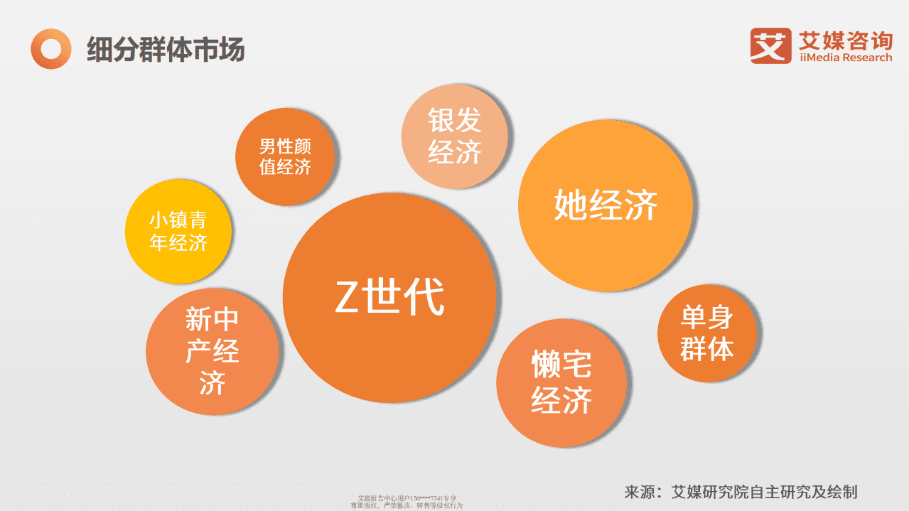 2020人群行为洞察报告.pdf 第5页