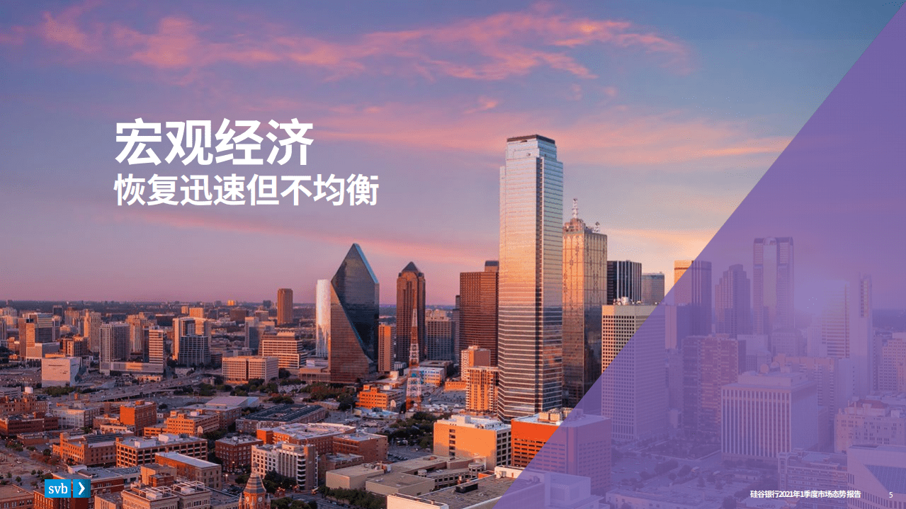 浦发硅谷银行：2021Q1市场态势报告.pdf 第5页