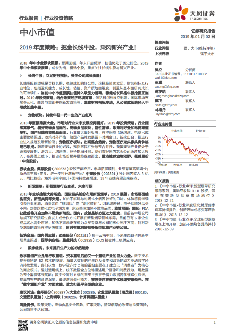 2019年度策略：掘金长线牛股，乘风新兴产业！.pdf 第1页