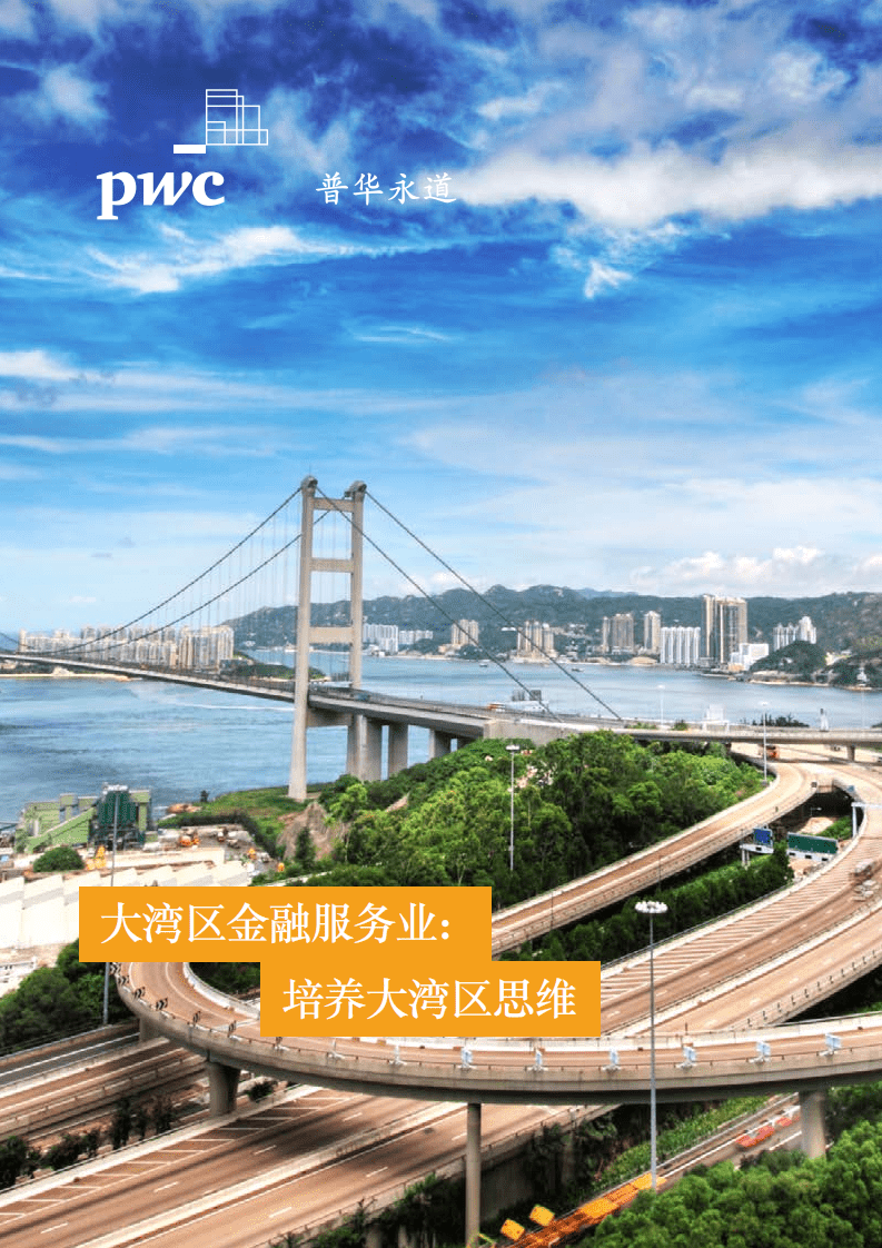 普华永道：大湾区金融服务业，培养大湾区思维.pdf 第1页