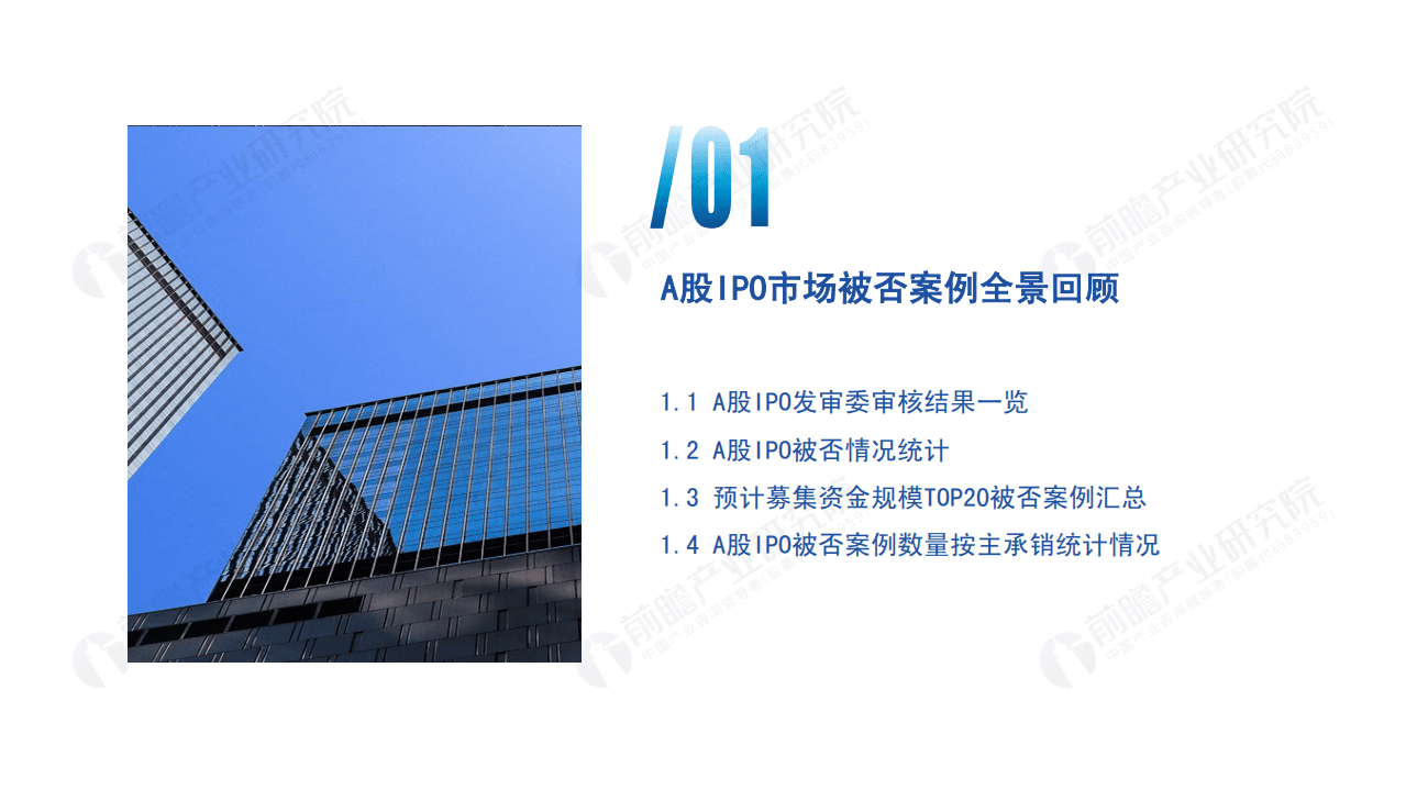 前瞻：2020年A股IPO市场被否及主动撤回案例全景回顾和2021年IPO市场前景展望.pdf 第3页