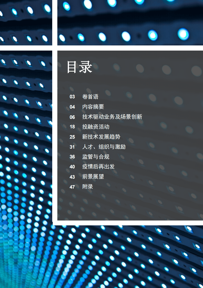 普华永道：中国金融科技调研 2020.pdf 第2页