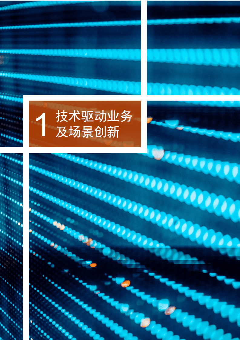 普华永道：中国金融科技调研 2020.pdf 第6页